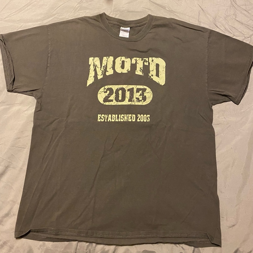✨CLEARANCE✨  MINIs On The Dragon MOTD 2013 t-shirt